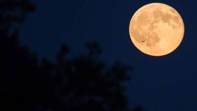 Los viajes a la luna serán una realidad en un par de años.