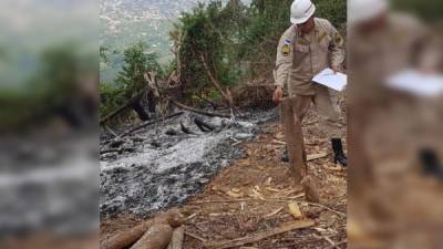 Destrucción. Un elemento del Cuerpo de Bomberos ve con tristeza los destrozos a que está siendo sometido el refugio de vida silvestre Mico Quemado.