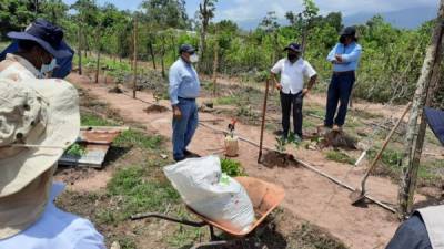 Las autoridades buscan brindar respaldo desde el desarrollo institucional, económico, ambiental y social.