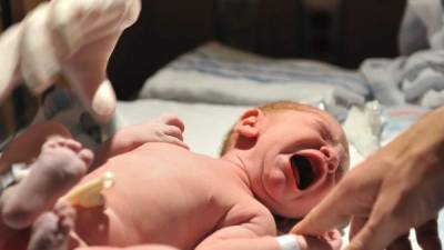 Desde 2014, ocho bebés han nacido de mujeres que recibieron trasplantes de útero, todos en Suecia. // Foto vía Vimeo.