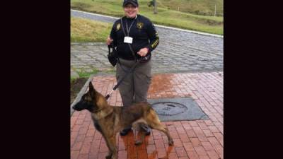 costo. Cada canino tiene el valor de 3,000 dólares (casi 70,000 lempiras).