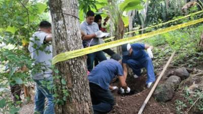 El cuerpo fue encontrado cerca de un árbol.