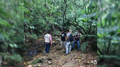 Los investigadores y pobladores en la montaña entre San Pedro Sula, Choloma y Puerto Cortés durante los recorridos para colocar cámaras trampas.