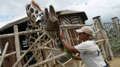 El mantenimiento de los animales de Joya Grande ha sido el adecuado, pero la precaria situación económica de la empresa que lo administra pone en riesgo que se les siga dando el mismo nivel de atención.