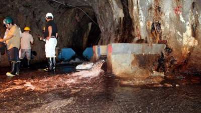 El Cajón es el embalse más importante del país; desde hace años comenzó a presentar las fugas de agua.