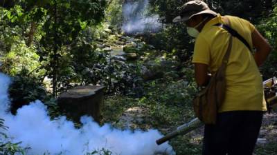 Las cuadrillas fumigaron las pozas donde se bañan los veraneantes y las plantas que rodean la zona.