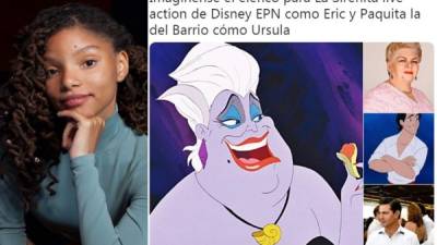 El fichaje de la cantante estadounidense de ascendencia afrodescendiente ha causado polémica entre los fanáticos del clásico de Disney, algunos aplauden la diversidad que el estudio está promoviendo al cambiar la etnia del personaje mientras otros critican que no se haya respetado la historia original.