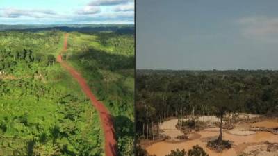 La Amazonia puede sufrir un colapso en pocas décadas.