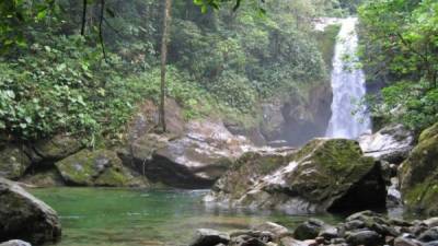 Especialistas se trasladaron este domingo a Pico Bonito, en la región caribeña de Honduras, por una extraña emanación de humo blanco. Foto: Honduras travel