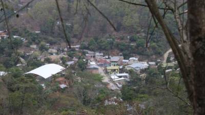 El pequeñito fue encontrado en una zona montañosa, cerca de la frontera con Honduras.
