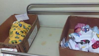 Los recién nacidos fueron colocados en cajas de cartón el pasado fin de semana.