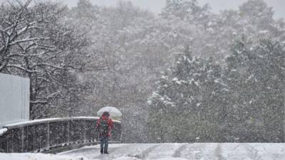 Las autoridades pidieron a la población tener precaución durante la primer tormenta de nieve en Tokio. AFP.