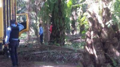 El hecho ocurrió ayer en los Bajos de Baracoa.