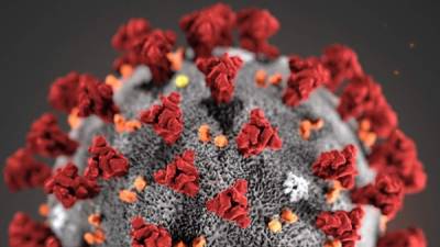 La ciencia investiga cómo afecta el coronavirus en nuestra piel.