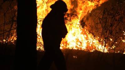 Incendios quemaron miles de hectáreas del país.