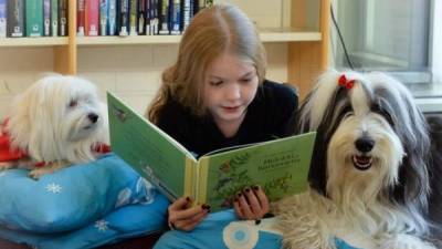 La terapia con perros mejora la lectura mecánica y comprensiva de los alumnos.