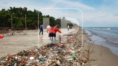 Desde hace una semana personal contratado por la alcaldía de Omoa y pobladores se unieron a los trabajos de limpieza en las playas para eliminar los promontorios de basura.