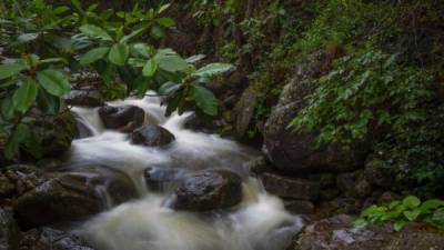 En la montaña se encuentran diversas fuentes de agua que permite a los turistas refrescarse mientras hacen sus recorridos.