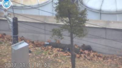 Captura de pantalla de un video de vigilancia del 13 de noviembre, cedida por el Comando de las Naciones Unidas. EFE/UNC