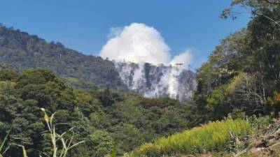 Las autoridades locales no pudieron contener el fuego que arrasó la zona durante varias horas.