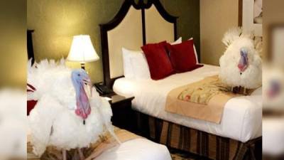 Los pavos que serán indultados por el magnate se hospedan en el lujoso Hotel Willard Intercontinental.