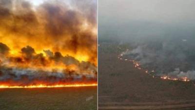 Las quemas son provocadas para deforestar un terreno en el Amazonas.