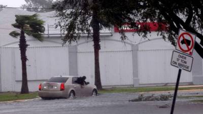 Se mantiene un aviso de tormenta tropical (paso en 24 horas). EFE/Archivo