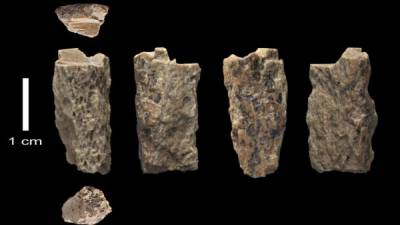 Fragmento del hueso estudiado, evidencia de mestizaje entre un neandertal y un denisovano. Foto: Universidad de Oxford/ Instituto Max Planck/AFP