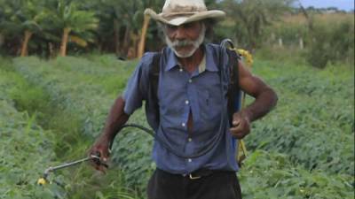 Están interesados en procesos agroindustriales.