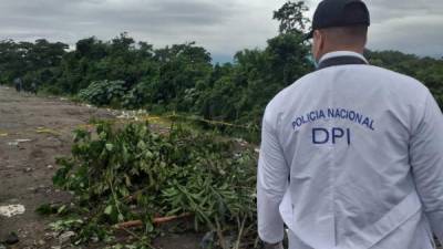 Tapado con unas hojas fue encontrado ayer el cuerpo de un hombre en los bordos de la Felipe Zelaya de San Pedro Sula.