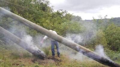 Los postes de madera serán reemplazados por estructuras de metal, según la Enee.