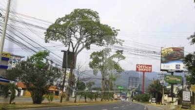 San Pedro Sula es el epicentro del COVID-19 en Honduras.