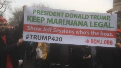 Varios prostestantes repartieron marihuana en las calles de Washington durante la investidura de Donald Trump.