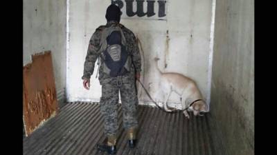 En un segundo plantel de Delca se han asegurado más vehículos y se detectó una caleta.