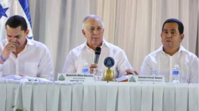 La reforma fue presentada por el titular del poder legislativo, Mauricio Oliva.