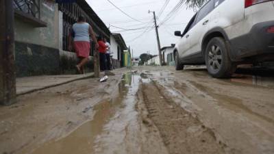 El agua lluvia estancada en el bloque 51 de la colonia Satélite origina la propagación del vector.