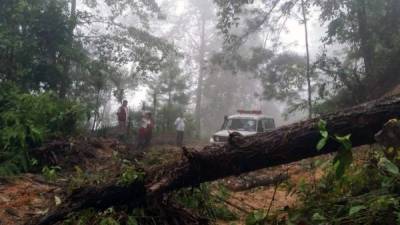 Las lluvias provocan severos daños en el occidente y norte del país.