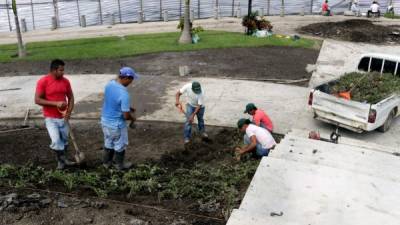 Personal de la empresa ejecutora realizan los últimos trabajos del nuevo parque central de La Lima.