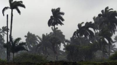 A las 09.00 horas GMT del martes Andrea estaba localizada unas 295 millas (475 km) al sur-suroeste de la isla de Bermuda. EFE/Archivo