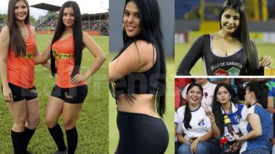 Las fotos de las bellas chicas que han adornado el arranque del Torneo Apertura 2017-2018 de la Liga Nacional.