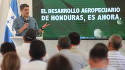 El presidente Hernández durante su comparecencia