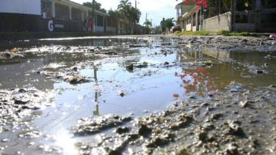 Los pobladores de la colonia Santa Martha viven entre las aguas negras. Están expuestos a enfermedades en la piel y a la proliferación de zancudos.