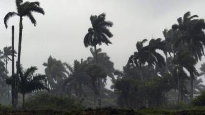 EFE/EUA-CARIBE-PR06- PINAR DEL RIO (CUBA) 10/06/05.-Vista del cielo nublado y algunas ráfagas de viento que permanecen hoy, viernes 10 de junio, tras el paso de la tormenta tropical 'Arlene', el primer ciclón de esta temporada, y que dejó un temporal de lluvias y unos 50.000 evacuados en la provincia de Pinar del Río, Cuba. EFE/Alejandro Ernesto