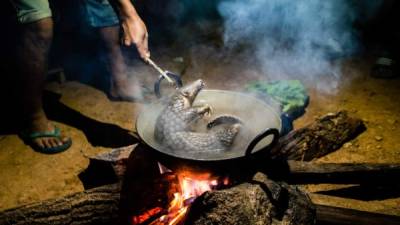 En la imagen, un pangolín es cocinado.