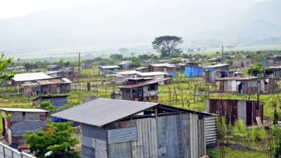 Tierras invadidas en Pimienta, Cortés, que antes eran dedicadas al cultivo de caña y granos, ahora están en poder de pobladores irregulares. FOTO:AMÍLCAR IZAGUIRRE