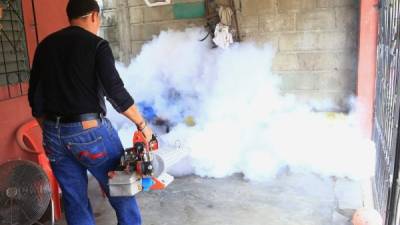 Personal fumigando una de las casas de El Progreso con el objetivo de combatir el dengue y la chikungunya.