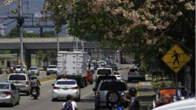 Fotografía del bulevar del este de San Pedro Sula durante el toque de queda.