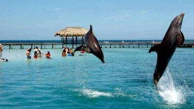 Honduras tiene sitios hermosos, como, en esta imagen, Islas de la Bahía, ubicada en la zona insular. Foto de archivo.