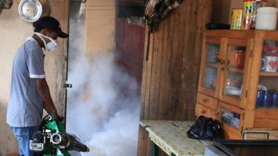 Un integrante de los operativos fumiga en una casa de la zona metropolitana para evitar la formación de los criaderos de zancudo transmisor del dengue.