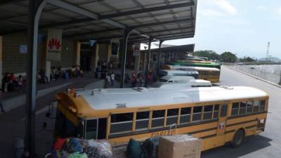 En San Pedro Sula, la flota de buses y microbuses es de más de 1,500, según un censo de Transporte. Foto: Amílcar Izaguirre.